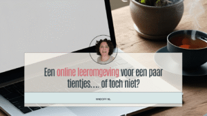 een online leeromgeving voor een paar tientjes, of toch niet