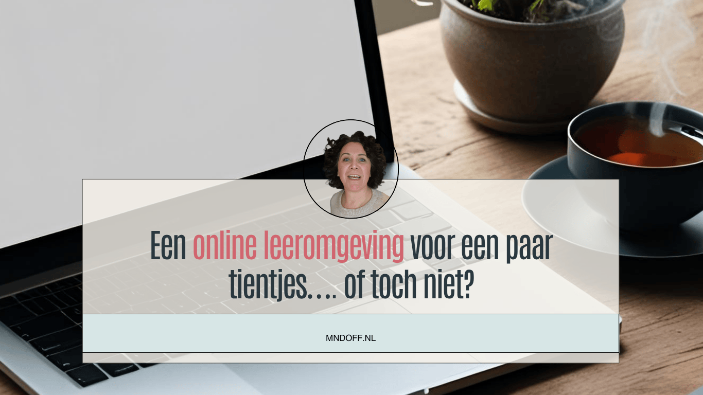 een online leeromgeving voor een paar tientjes, of toch niet