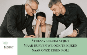 Blog stressverzuim stijgt. Door Sandra Luijendijk van Rooijen